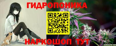 apvp Краснознаменск