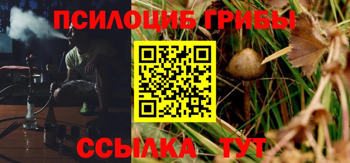 где найти   Вход с VPN  Зерноград  Галлюциногенные грибы MAGIC MUSHROOMS 